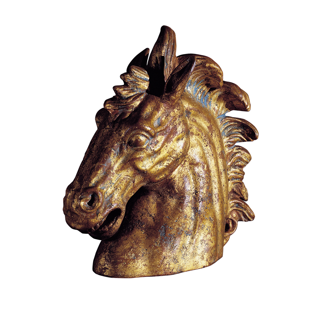 Testa di cavallo 