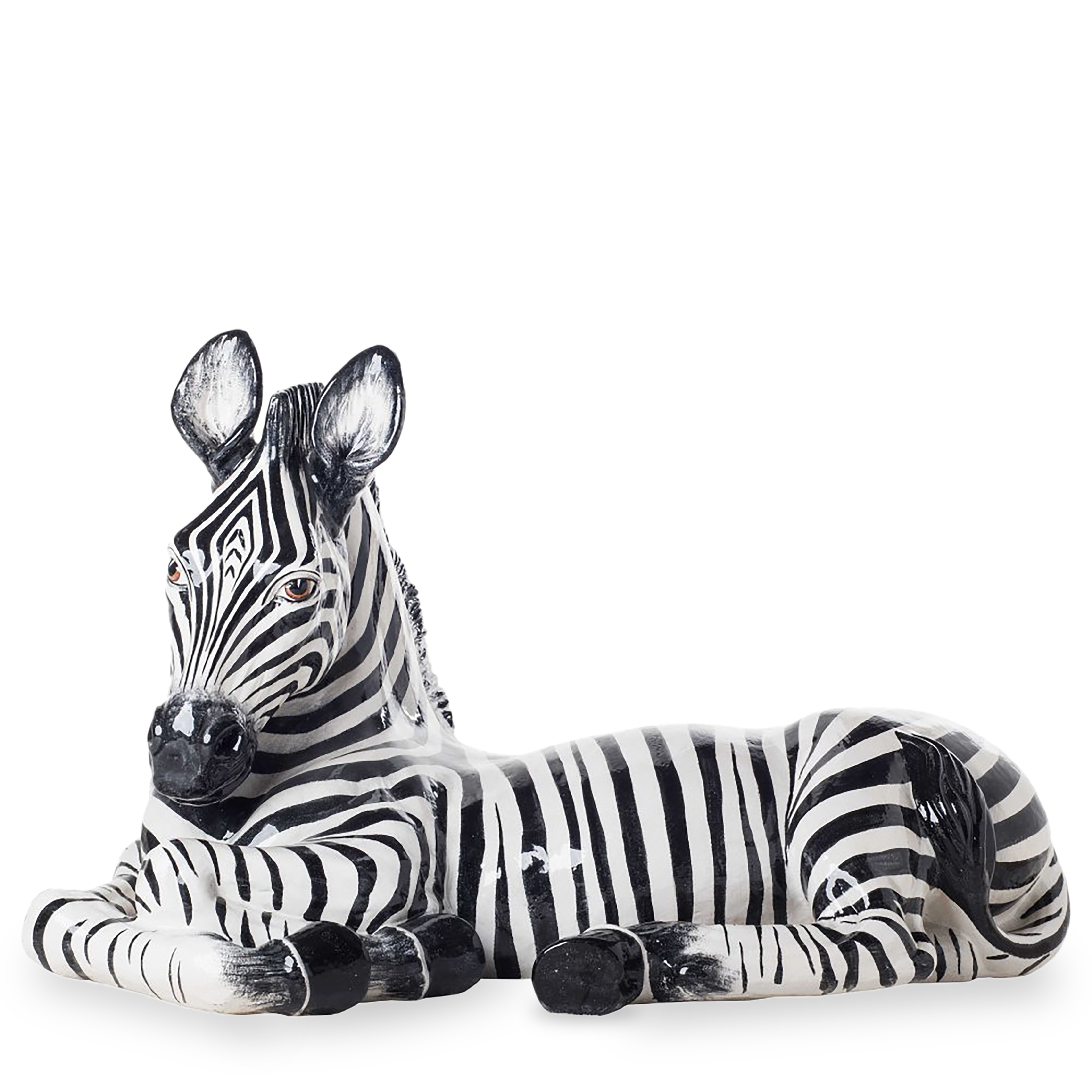 Lying Zebra
